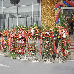 哪些花可以消除家居裝飾中的污染？北京綠植銷售公司