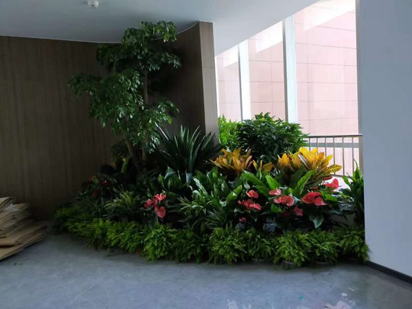北京園林綠化公司綠植花卉養護
