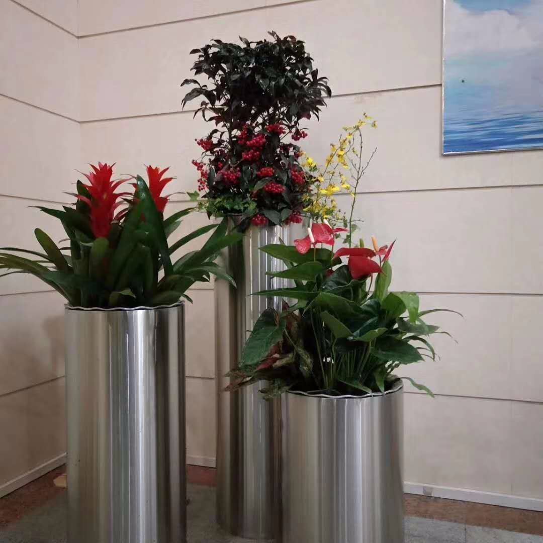 北京花卉綠植公司