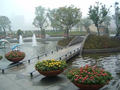 北京大興區花卉租擺公司