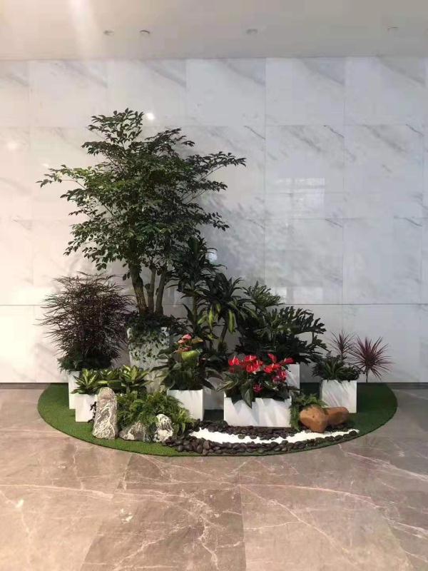 北京辦公室花卉綠植租擺公司